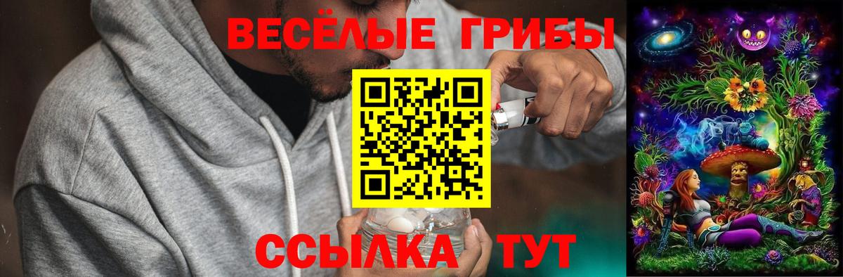 Псилоцибиновые грибы GOLDEN TEACHER Ейск