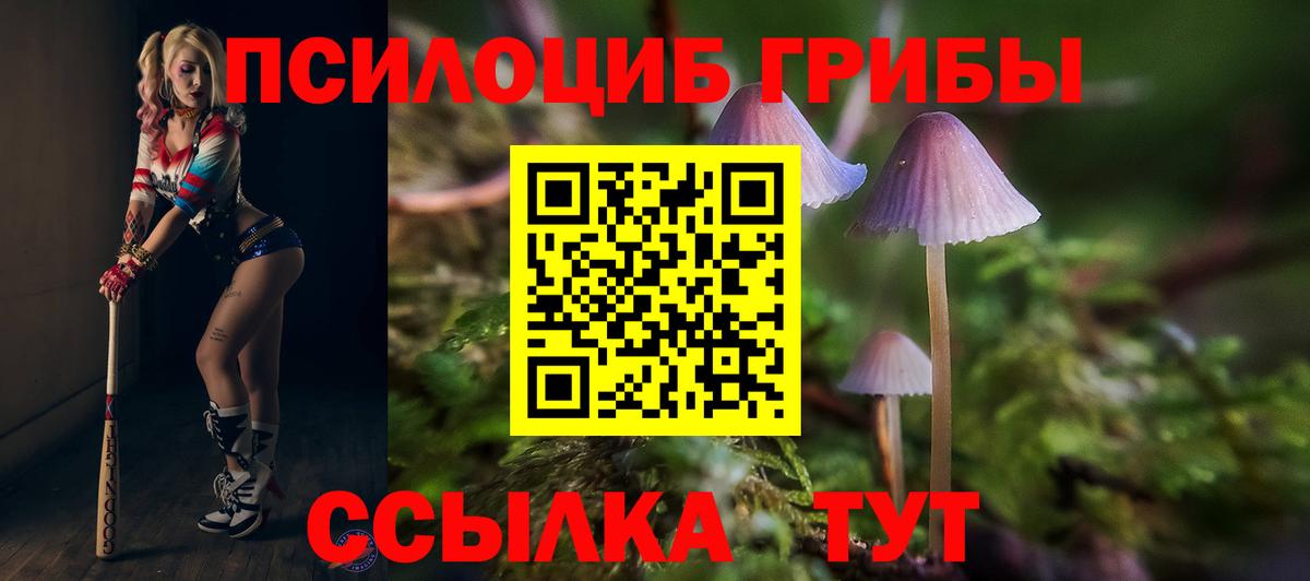 Псилоцибиновые грибы мухоморы  где найти   Ейск  Вход с VPN 